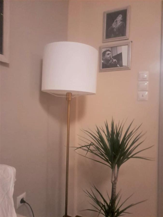 Central Museum Comfort Appartment Atenas Exterior foto